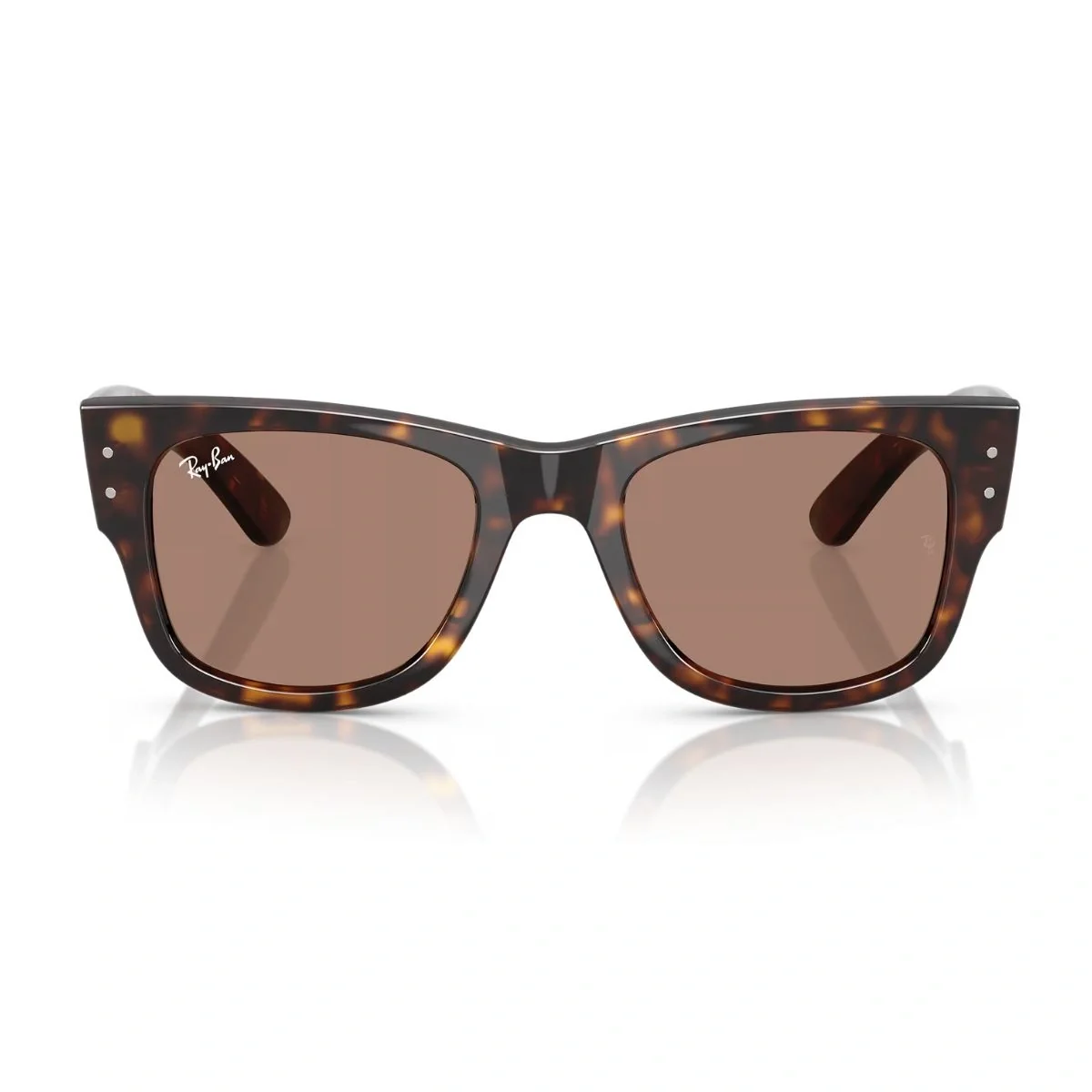 Classic black Wayfarer sunglasses