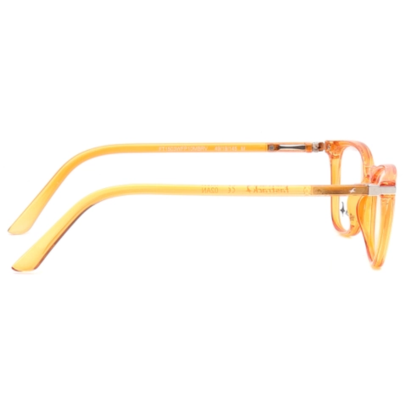3 Brown CatEye Eyeglasses for Women